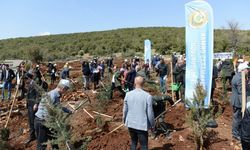 Üniversitemizin 30. Yılında 30 Bin Fidanı Toprakla Buluşturuyoruz