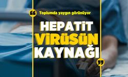 Gizemli hepatit virüsünün kaynağının toplumda yaygın olarak görülen bir virüs olduğu açıklandı