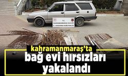 Kahramanmaraş’ta bağ evi hırsızları yakalandı