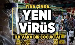 Şimdi de H3N8 alarmı... Çin'den resmi açıklama geldi!