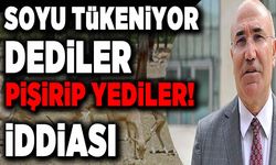Soyları tükenme riski altındaki ceylanları kesip, bürokratlara ikram ettiler