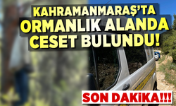 Kahramanmaraş’ta ormanlık alanda ağaca asılı bir erkek cesedi bulundu.