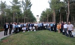 BABA, SEVDİKLERİNİ SARAN ULU BİR ÇINARDIR