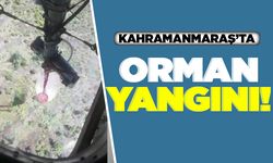 Kahramanmaraş'ta orman yangını!