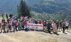 Kocabor Şelalesi Doğaseverleri Hayran Bıraktı