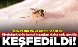 Dünyanın en ölümcül canlısı! Sivrisineklerin hangi insanları daha çok ısırdığı keşfedildi!