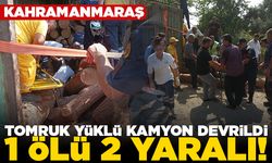 Kahramanmaraş'ta tomruk yüklü kamyon devrildi! 1 ölü 2 yaralı!