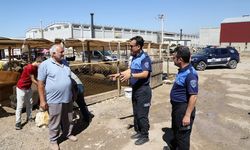ZABITA EKİPLERİNDEN KURBAN SATIŞ YERLERİNDE DENETİM