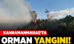 Kahramanmaraş'ta orman yangını!
