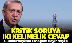 Kritik soruya iki kelimelik cevap! Cumhurbaşkanı Erdoğan: Hayır başka!