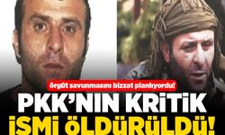 Örgüt savunmasını bizzat planlıyordu! PKK'nın kritik ismi öldürüldü!