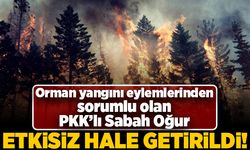 Orman yangını eylemlerinden sorumlu olan PKK'lı Sabah Oğur etkisiz hale getirildi!