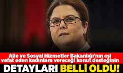 Aile ve Sosyal Hizmetler Bakanlığı'nın eşi vefat eden kadınlara vereceği konut desteğinin detayları belli oldu