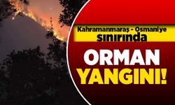 Kahramanmaraş - Osmaniye sınırında orman yangını!