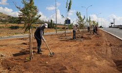 Büyükşehir 10 Bin Ağacı Toprakla Buluşturdu
