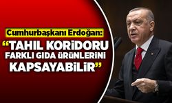 Cumhurbaşkanı Erdoğan: "Tahıl koridoru farklı gıda ürünlerini kapsayabilir"
