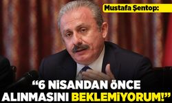 Mustafa Şentop: "6 nisandan önce alınmasını beklemiyorum"