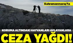 Kahramanmaraş'ta Koruma altındaki hayvanları avlayanlara ceza yağdı!
