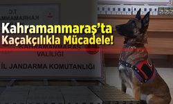 Kahramanmaraş'ta Kaçakçılık operasyonu!