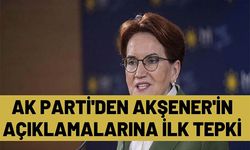 AK Parti'den Akşener'in açıklamalarına ilk tepki