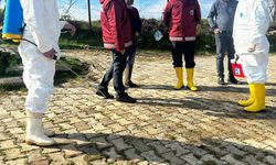 Kahramanmaraş'ta deprem felaketi sonrası şap hastalığı tehlikesi