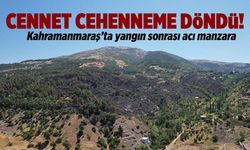 Kahramanmaraş'ta yangında küle dönen cennetten kahreden görüntü