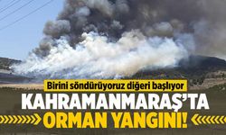 Kahramanmaraş'ta yine ormanda yangın çıktı!