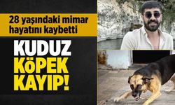 Şanlıurfa'da kuduz köpek saldırısı: Genç mimar hayatını kaybetti