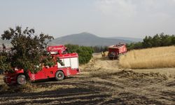 Tarlada çıkan yangın 1 hektar ormanlık alanı yok etti!