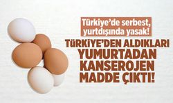 Yumurta Krizi: Tayvan, Türkiye'den yasaklı madde içeren yumurtalarda alımları durdurdu