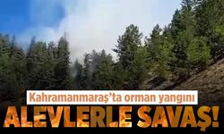 Kahramanmaraş'ta büyük facia: Orman yangını çıktı!