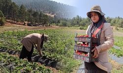 Kahramanmaraş'ın geleceğine yatırım: 22 yaşındaki genç kızın hedefi tesis kurmak!