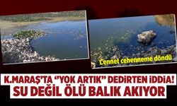 Kahramanmaraş'ta ''yok artık'' dedirten iddia! Su değil ölü balık akıyor
