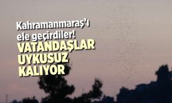 Kahramanmaraş'ı ele geçirdiler! Vatandaşlar uykusuz kalıyor