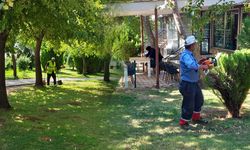 Kahramanmaraş'ın yeşili yeniden parlıyor: Parklar ve bahçeler yenileniyor