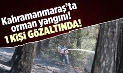 Kahramanmaraş'taki orman yangını kontrol altında: Bir gözaltı