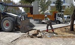 Kahramanmaraş'ta hafriyat ve moloz toplama çalışmaları hız kesmeden devam ediyor