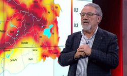 Doğu Anadolu'da stres birikimi: Prof. Dr. Görür'den deprem uyarısı