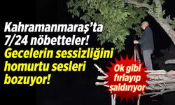 Kahramanmaraş’ta 7/24 nöbetteler! Gecelerin sessizliğini homurtu sesleri bozuyor!