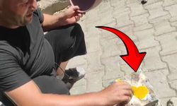 Kahramanmaraş sıcağında ilginç deney: Güneş altında yumurta pişti