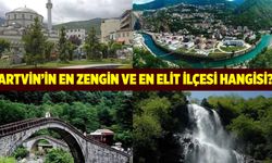 Artvin'in güzellikleri: İşte en zengin ve en elit ilçesi