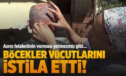 Depremin ardından ortaya çıkan korkunç sorun: Vücutlarından kurtçuklar çıkıyor