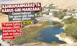 Gaziantep'in bilinçsiz sondajları Kahramanmaraş'taki Nilüfer Gölü'ne zarar verdi