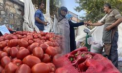 Salça yapım sezonu başladı: Kahramanmaraş'ta domates ve biber fırtınası