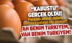 Türkiye'de hayat pahalılığı: Yumurta fiyatlarındaki çarpıcı artış
