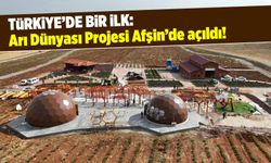 Türkiye'de bir ilk: Arı Dünyası Projesi Afşin'de açıldı!