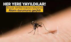 Asya kaplan sivrisineği ikinci alarm: Yayılıyor ve tehlike büyüyor