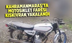 Kahramanmaraş'ta motosiklet faresi yakalandı