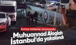 Interpol'un listesindeki isim: Muhuannad Aloqlah, İstanbul'da yakalandı