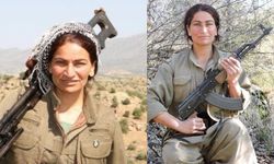 PKK'nın cephane sorumlusu etkisiz hale getirildi! Zeynep Sevim artık yok!